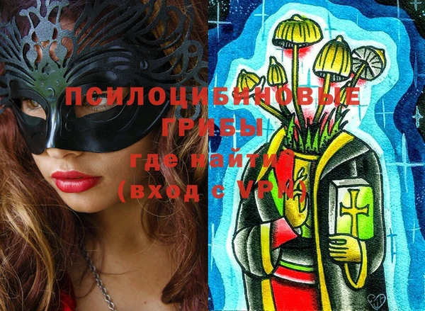 mix Богородск